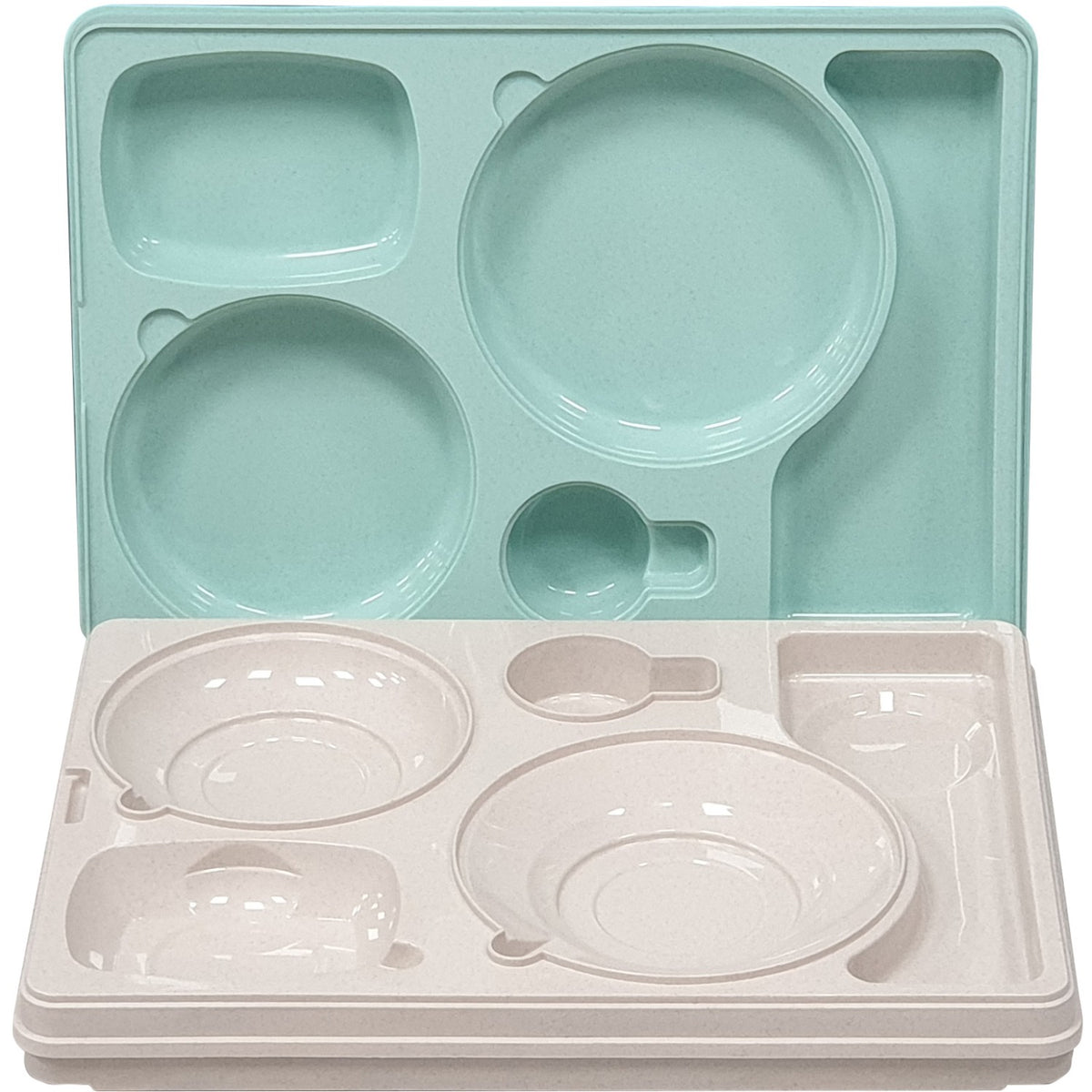 Professional Thermo Meal Tray with 5 Compartments - TT5N