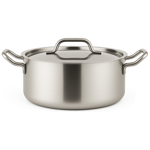 Professional Stainless 4.5L Steel Stew Pot 260mm - JJD6216
