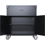 Professional Mobile Black 2 Door 1 Drawer Steel Tool Cabinet 800x420x900mm - SART222