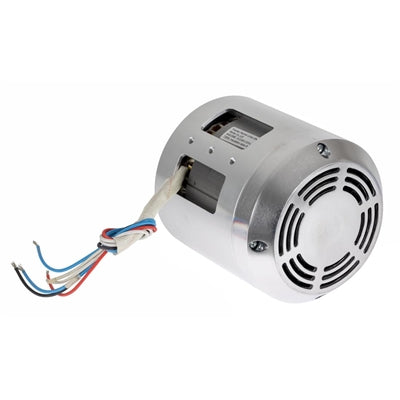 Buffalo #22 Meat Mincer Motor - AL246