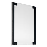 Buffalo Combi Oven Interior Glass - AP168
