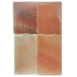 Polar U-Series Meat Ager Salt Blocks (10 Pack) - AW860