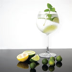 Olympia Bar Collection Crystal Gin Glasses 645ml (6 Pack) - CW251