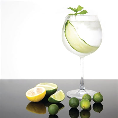 Olympia Bar Collection Crystal Gin Glasses 645ml (6 Pack) - CW251