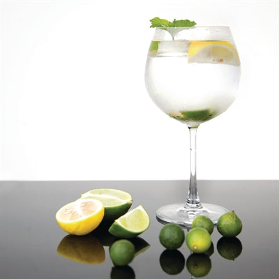 Olympia Bar Collection Crystal Gin Glasses 645ml (6 Pack) - CW251
