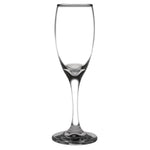 Olympia Solar Champagne Flutes 170ml (24 Pack) - CU004