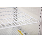 Polar C-Series Energy Efficient Display Fridge White 68Ltr - CX578