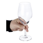 Olympia Cantina White Wine Glasses Crystal 375ml/12.68oz (6 Pack) - HW656