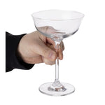 Olympia Lillie Coupe Glasses 215ml (6 Pack) - JA366