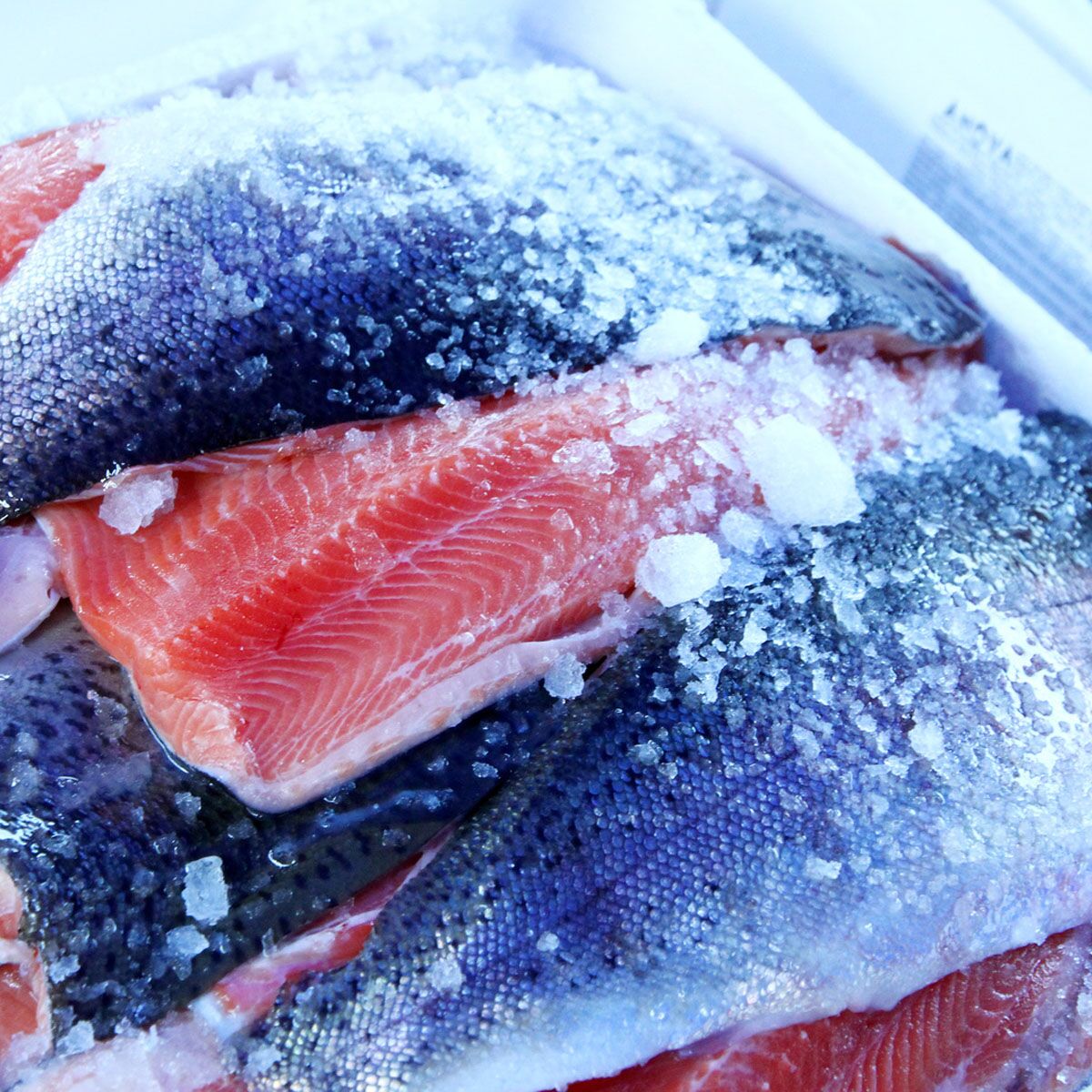 KFG530T1ND fish fridge additional view